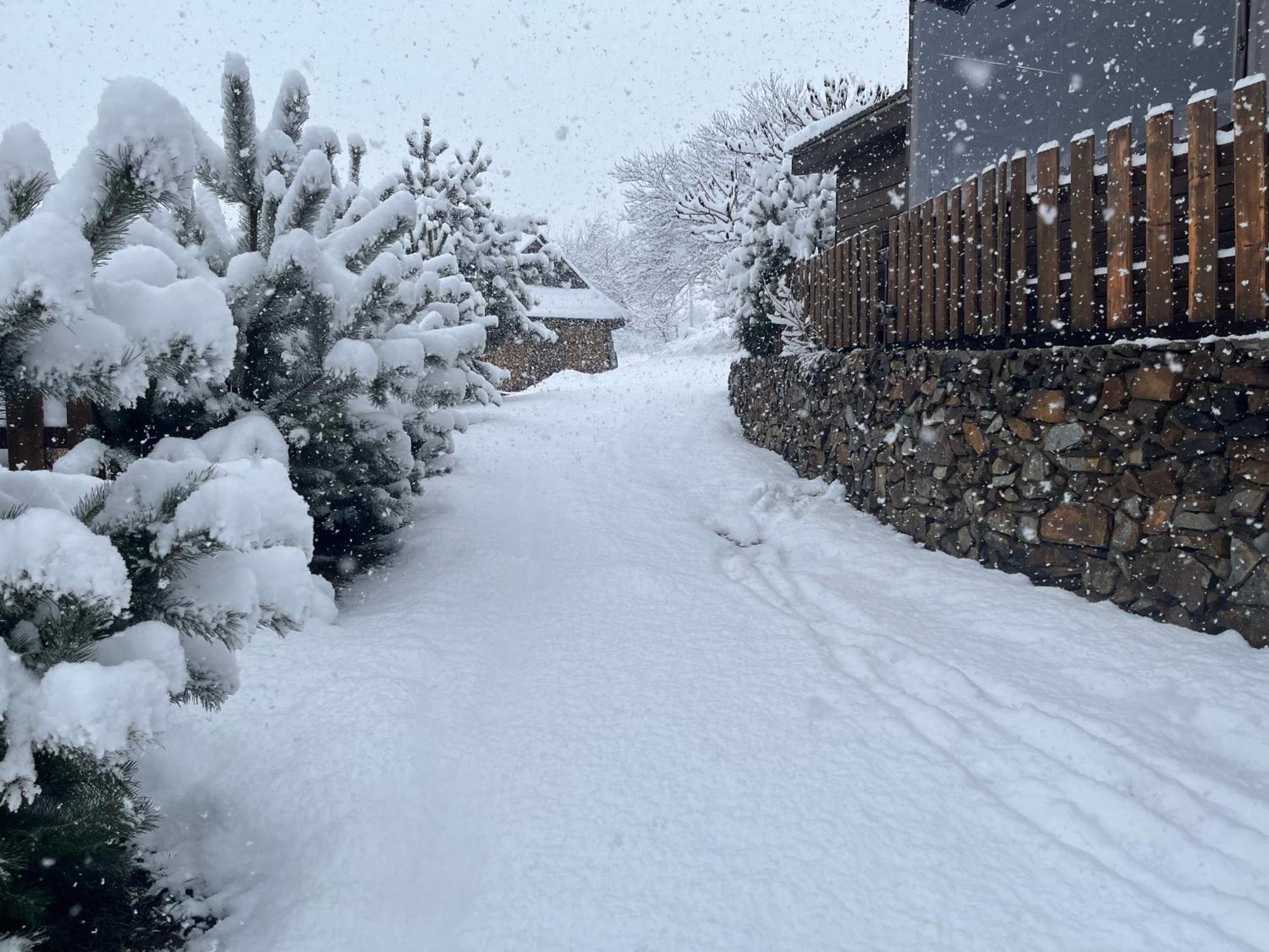 Hirska Vatra Villa Slavsko Exterior foto